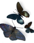 'Spellbound' Paper Witch Moth and Butterfly 3 Piece Set