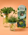 Produce Keepers - Set of 2