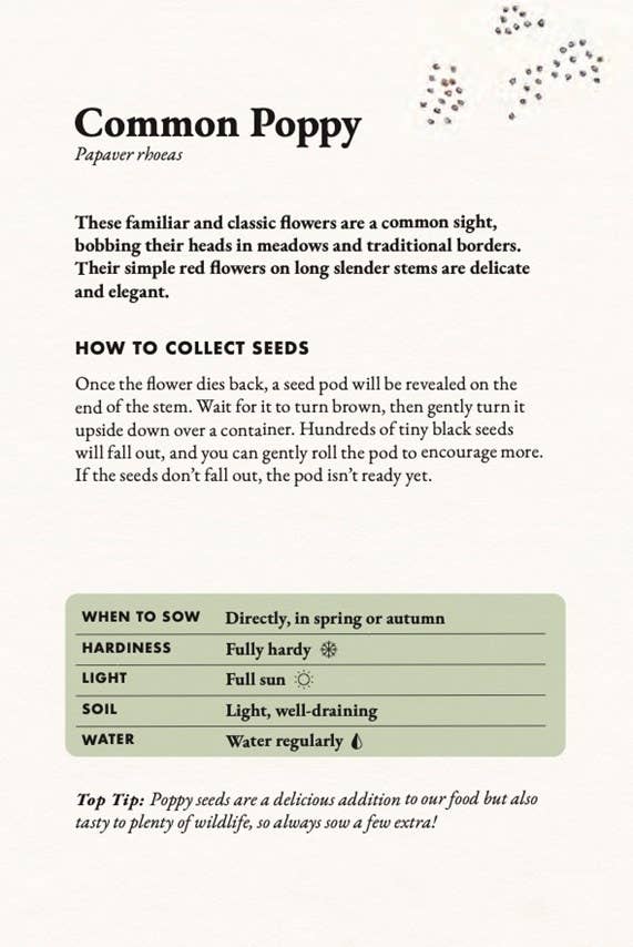 The Seed Collector's Kit