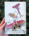 'Blush' Pink Moth Set