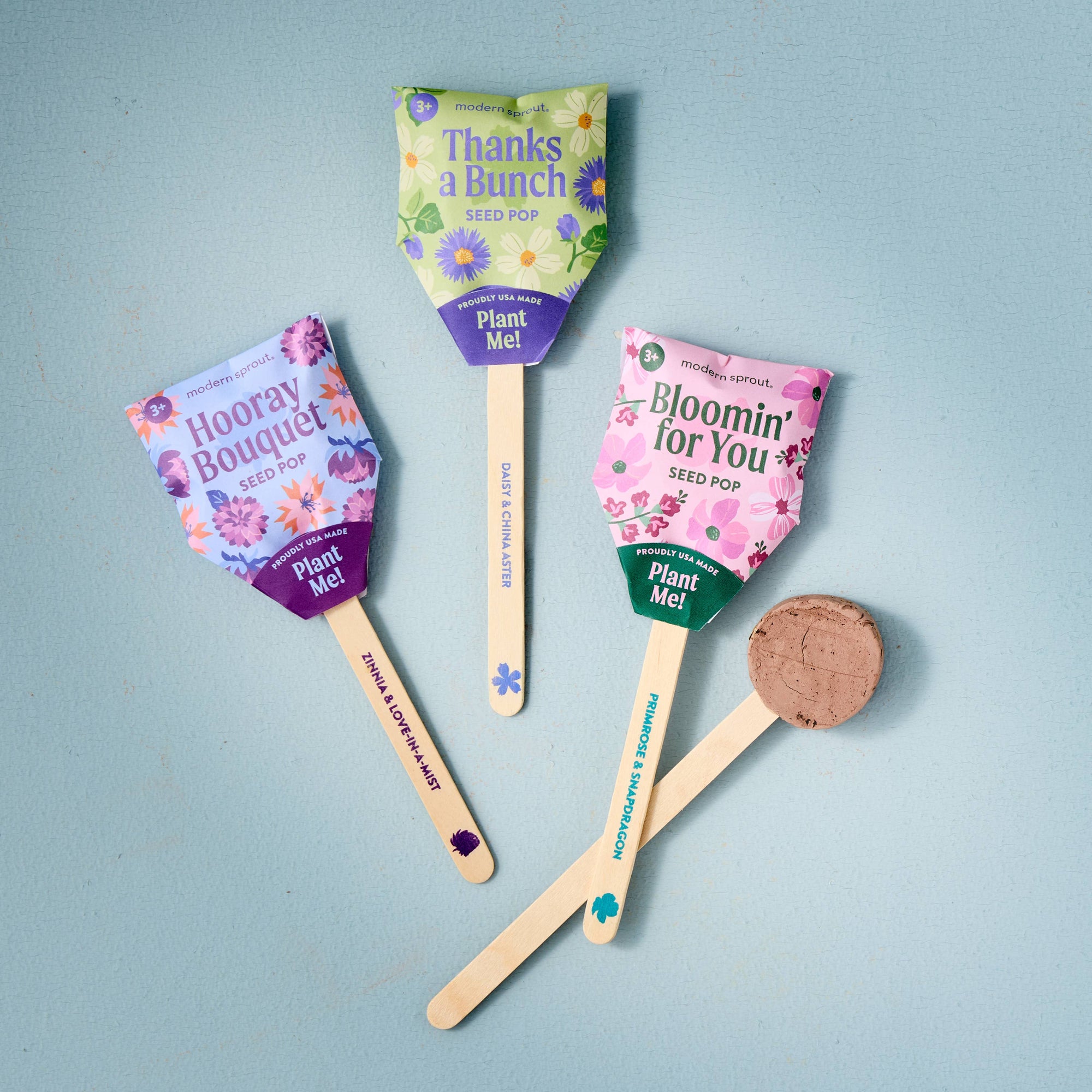 Flower Seed Pop (Single)