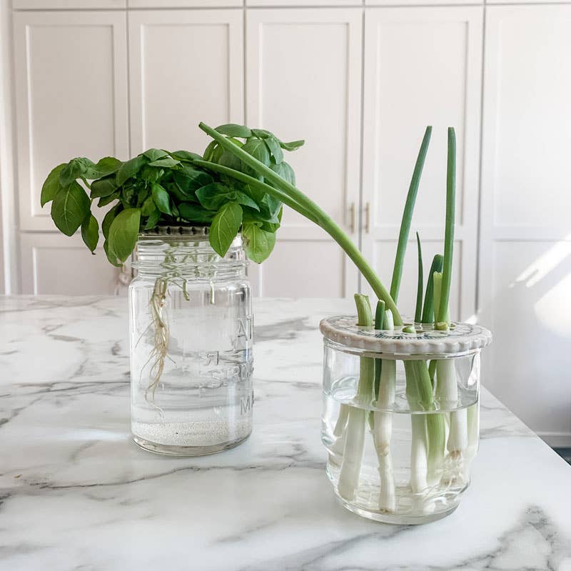 Flower Frog for Mason Jar Bouquet or Propagation, Garden