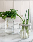 Flower Frog for Mason Jar Bouquet or Propagation, Garden