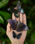 'Spellbound' Paper Witch Moth and Butterfly 3 Piece Set