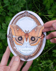 Polyphemus Moth Oval Greeting Card