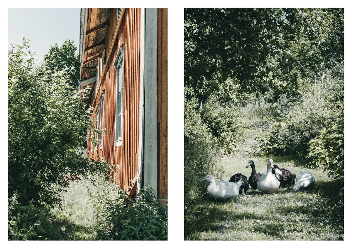 Nordic Homestead