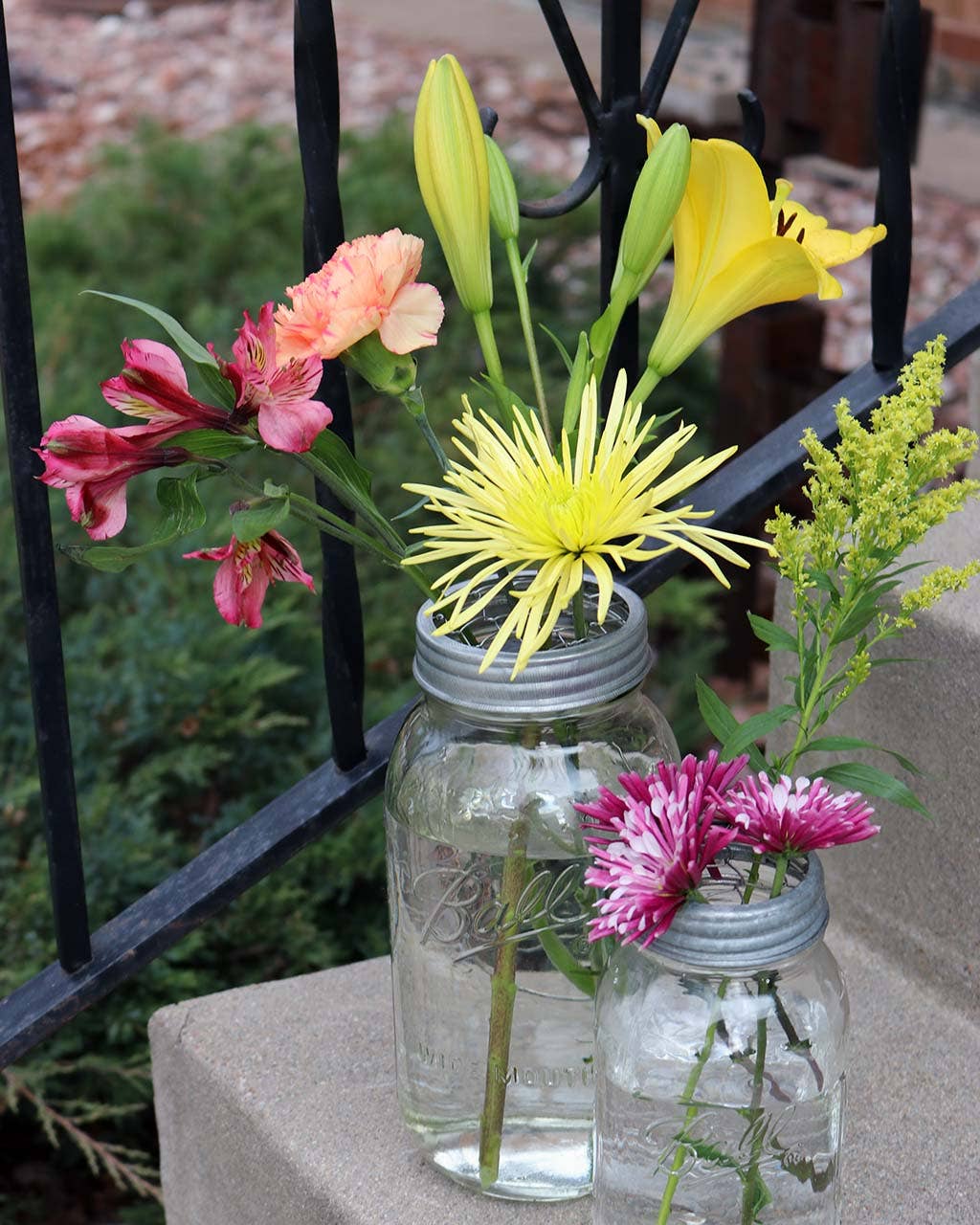 Galvanized Metal Flower Organizer Frog Lid for Mason Jars