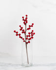 The Winding Road - Green, Red & White Berry Stems 4 Assorted