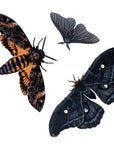 Halloween 'Death's Head' Paper Moth Set