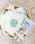 Nellie's Clean - Baby Laundry Soap