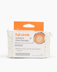 Totally Plant-Based Sponges (2pk) in CDU