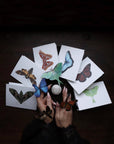 Pandora Sphinx Moth Greeting Card