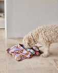 Ashi Dog Toy Large - Cherry Red/Taupe