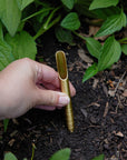 Seed Library