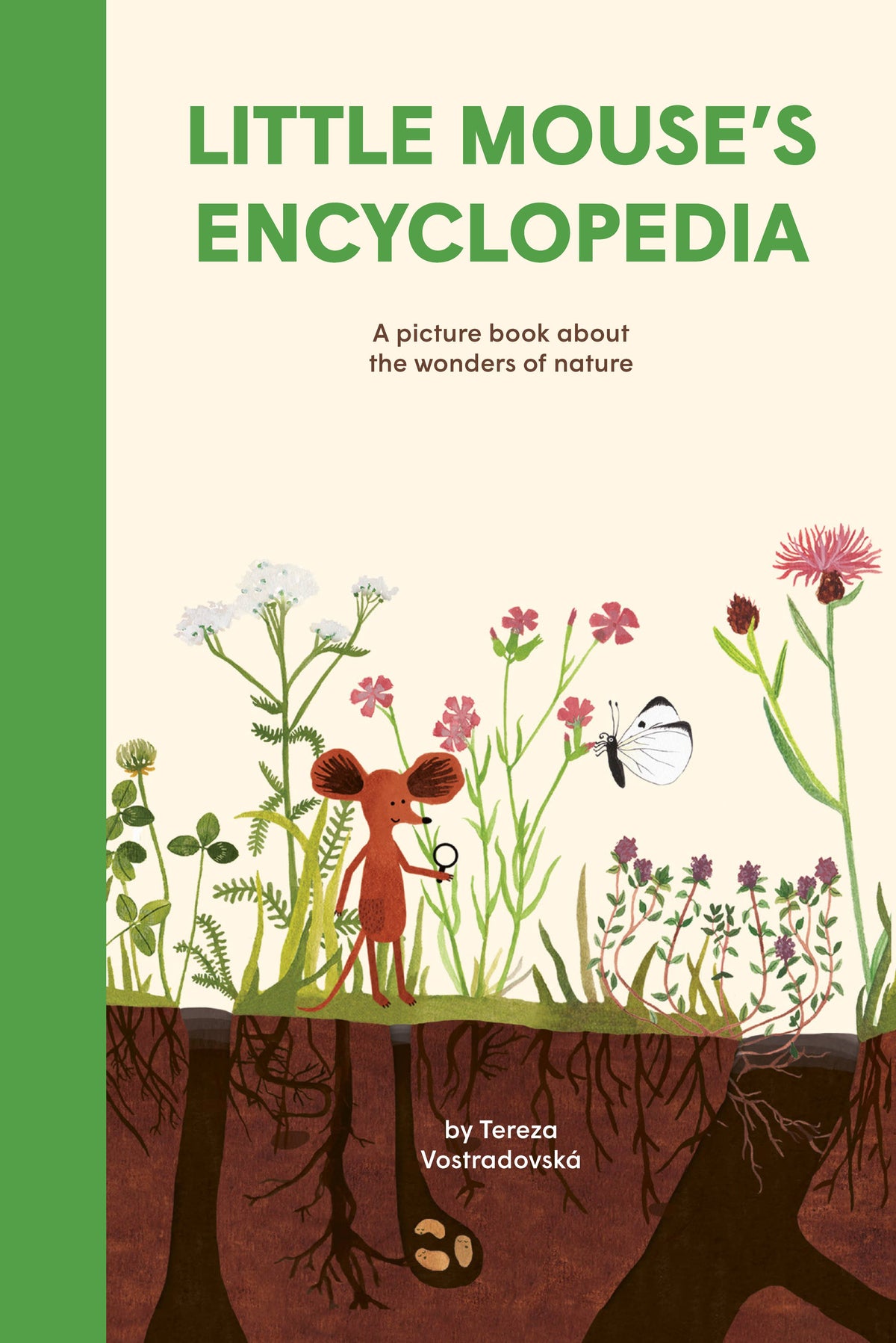 Little Mouse's Encyclopedia: A Picture Book about the
