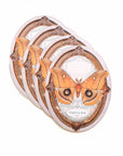 Polyphemus Moth Oval Greeting Card