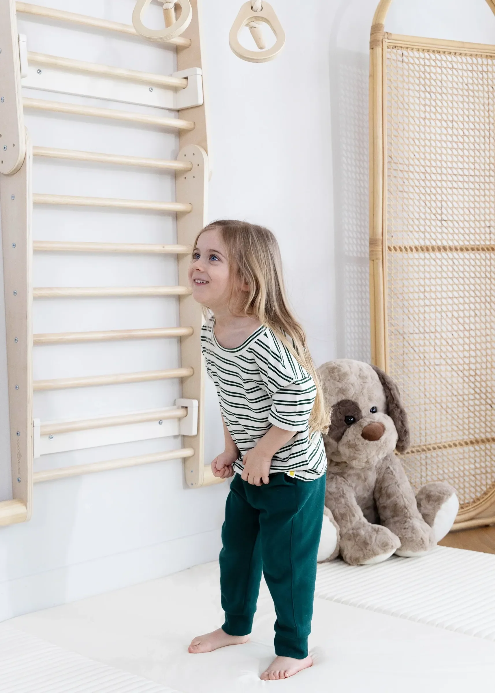 Montessori 2-in-1 Triangle &amp; Wall Climber