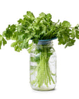 Produce Keepers - Set of 2