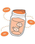 Jarware Drink Lid for Regular Mouth Mason Jar