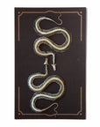 'Ouroboros' Mini Snake Skeleton Set