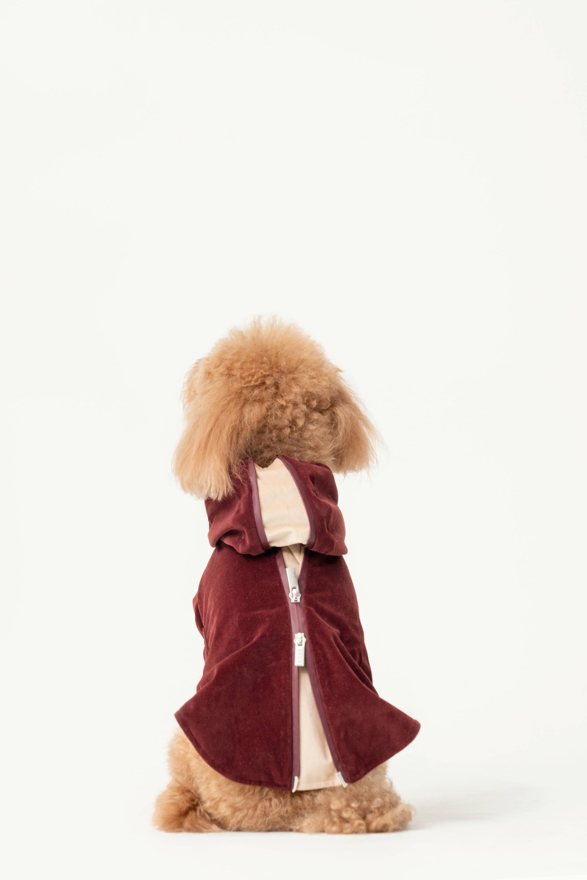 Montage Expandable Hoodie -  Red/Blue