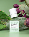 Plastic free Deodorant Refills Macadamia Bergamot - no case
