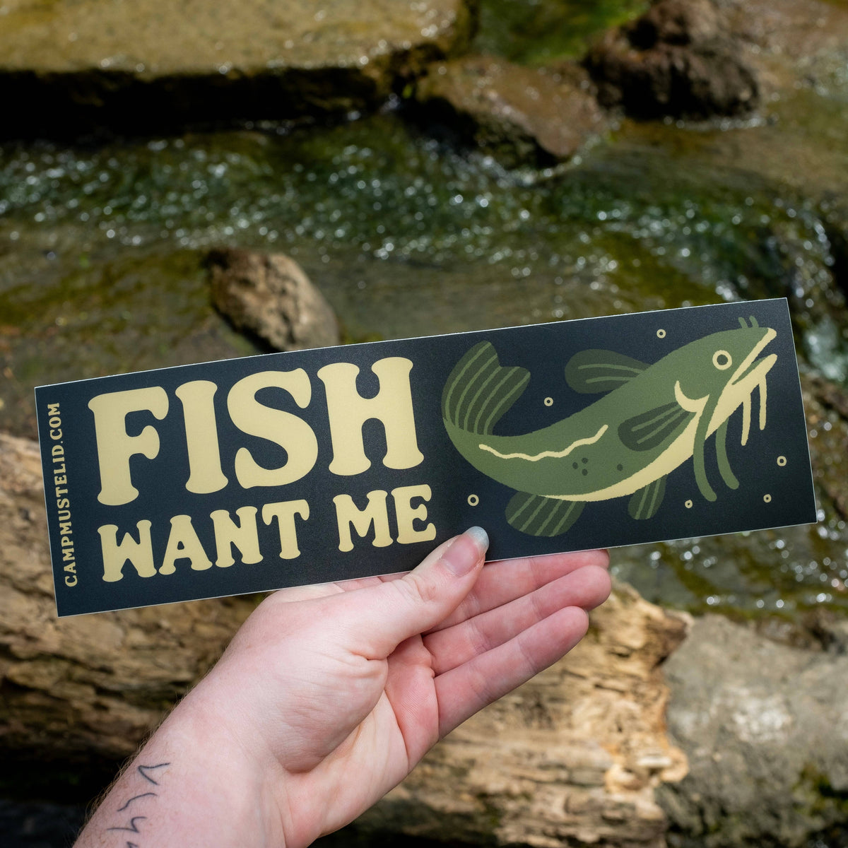 Catfish "Fish Want Me" Bumper Sticker