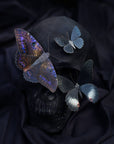 'Spellbound' Paper Witch Moth and Butterfly 3 Piece Set