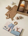 Baby First Toys Gift Box