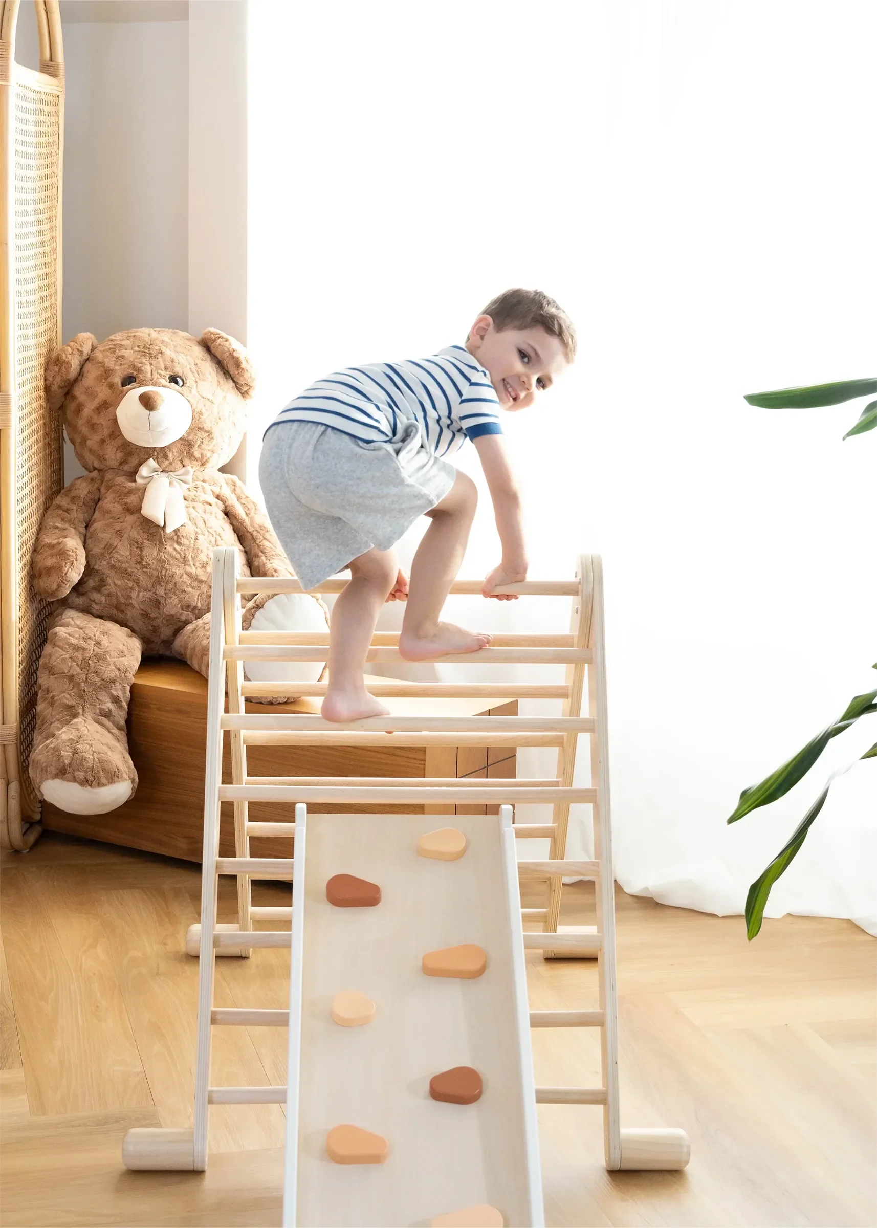 Montessori 2-in-1 Triangle &amp; Wall Climber