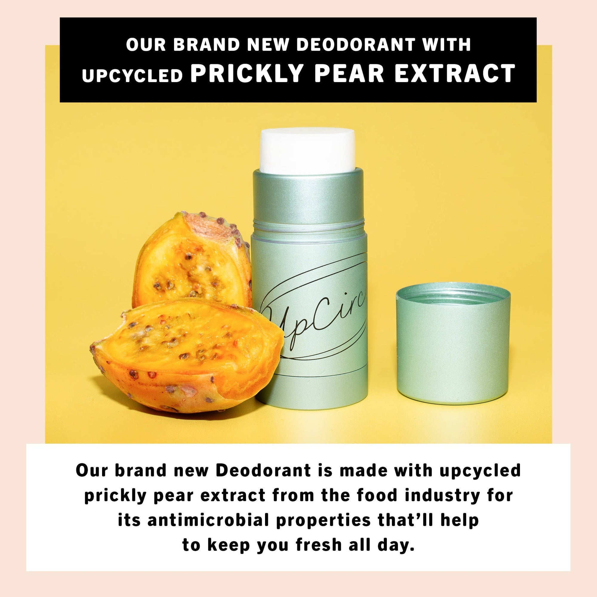 Plastic free Deodorant Refills Macadamia Bergamot - no case