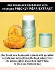 Plastic free Deodorant Refills Macadamia Bergamot - no case