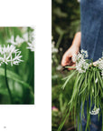 Living with Herbs