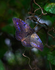 'Spellbound' Paper Witch Moth and Butterfly 3 Piece Set