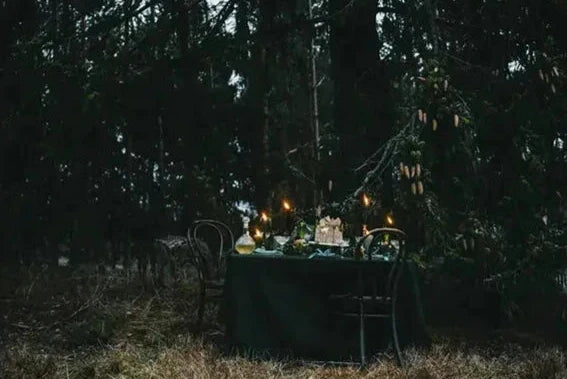 Cozy Publishing - Nordic Winter Cookbook