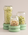 Food Huggers - Sprout Huggers