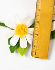 Garland - Daisy - Wall Decor