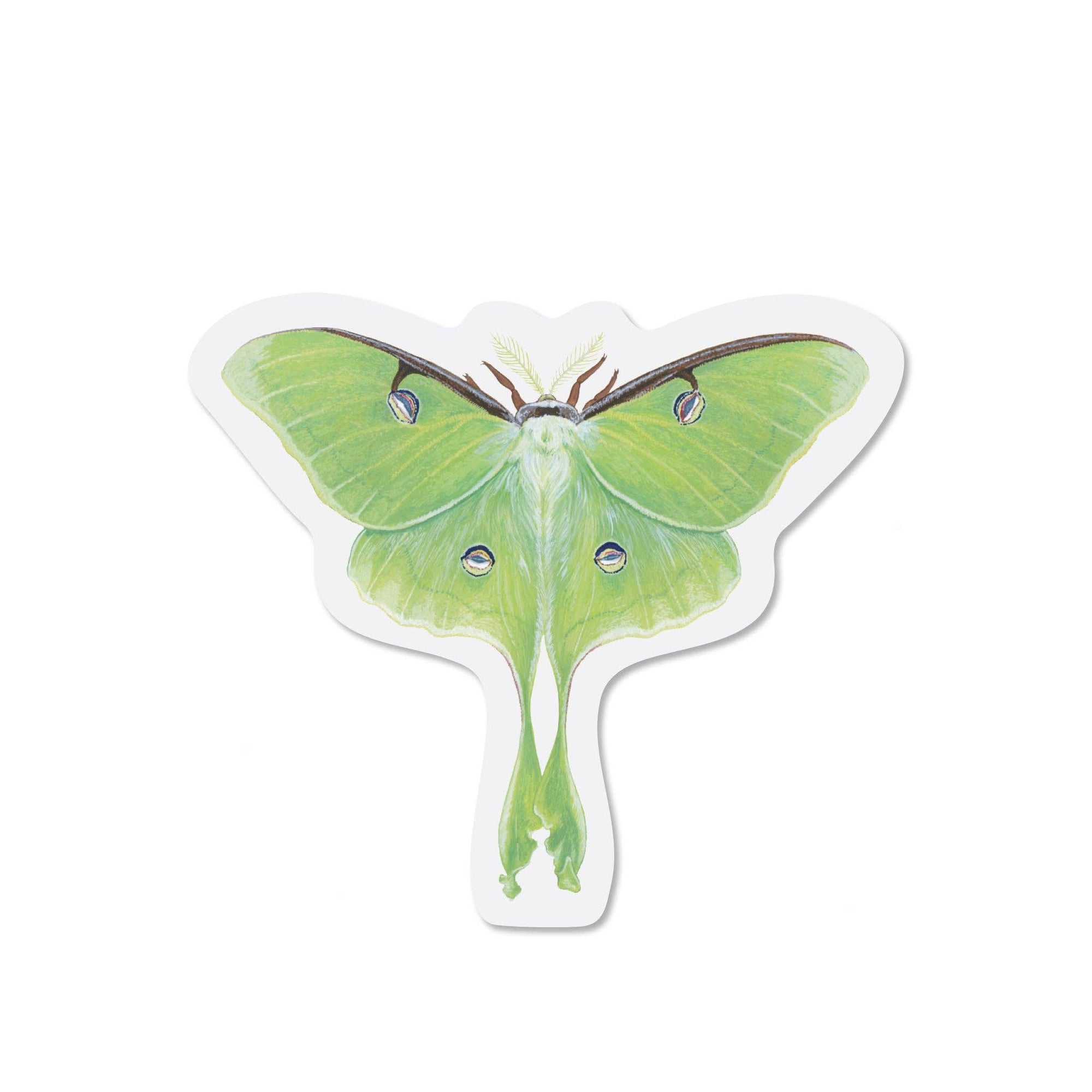 Open Sea - Luna Moth Sticker