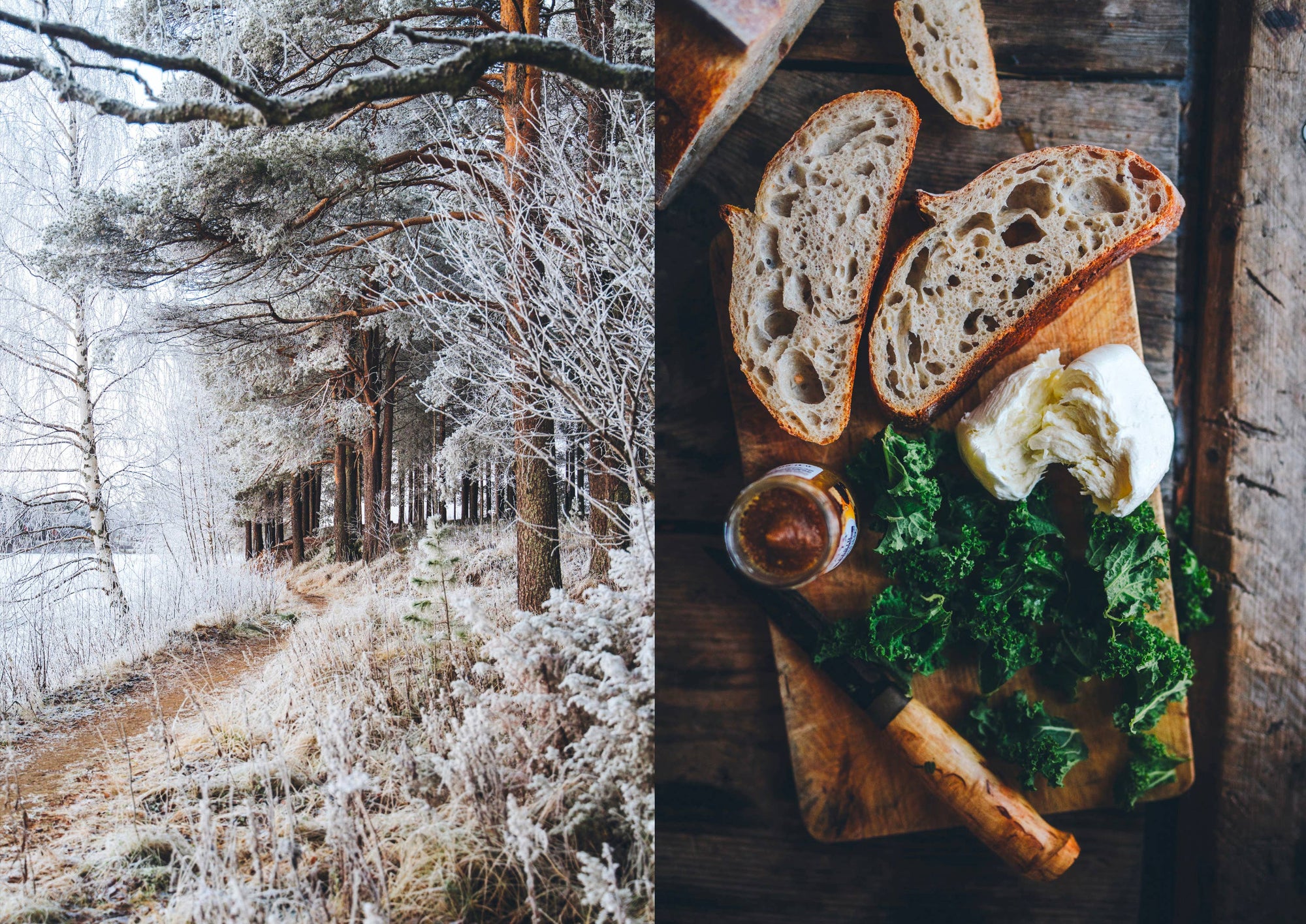 Food Over the Campfire – Recipes for Day Hikes &amp; Wilderness