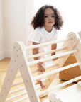 Montessori 2-in-1 Triangle & Wall Climber