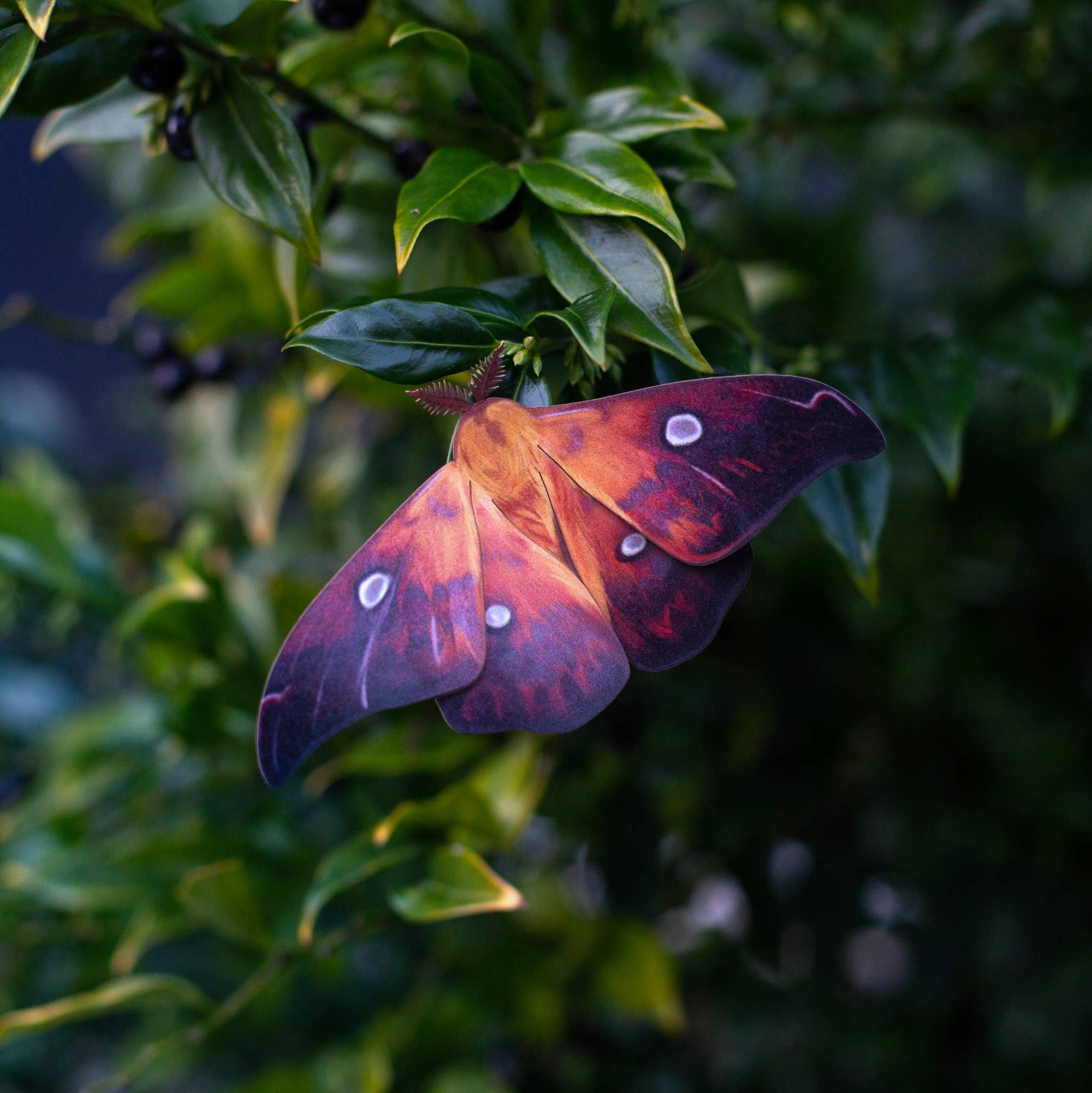 'Fire' Moth Set