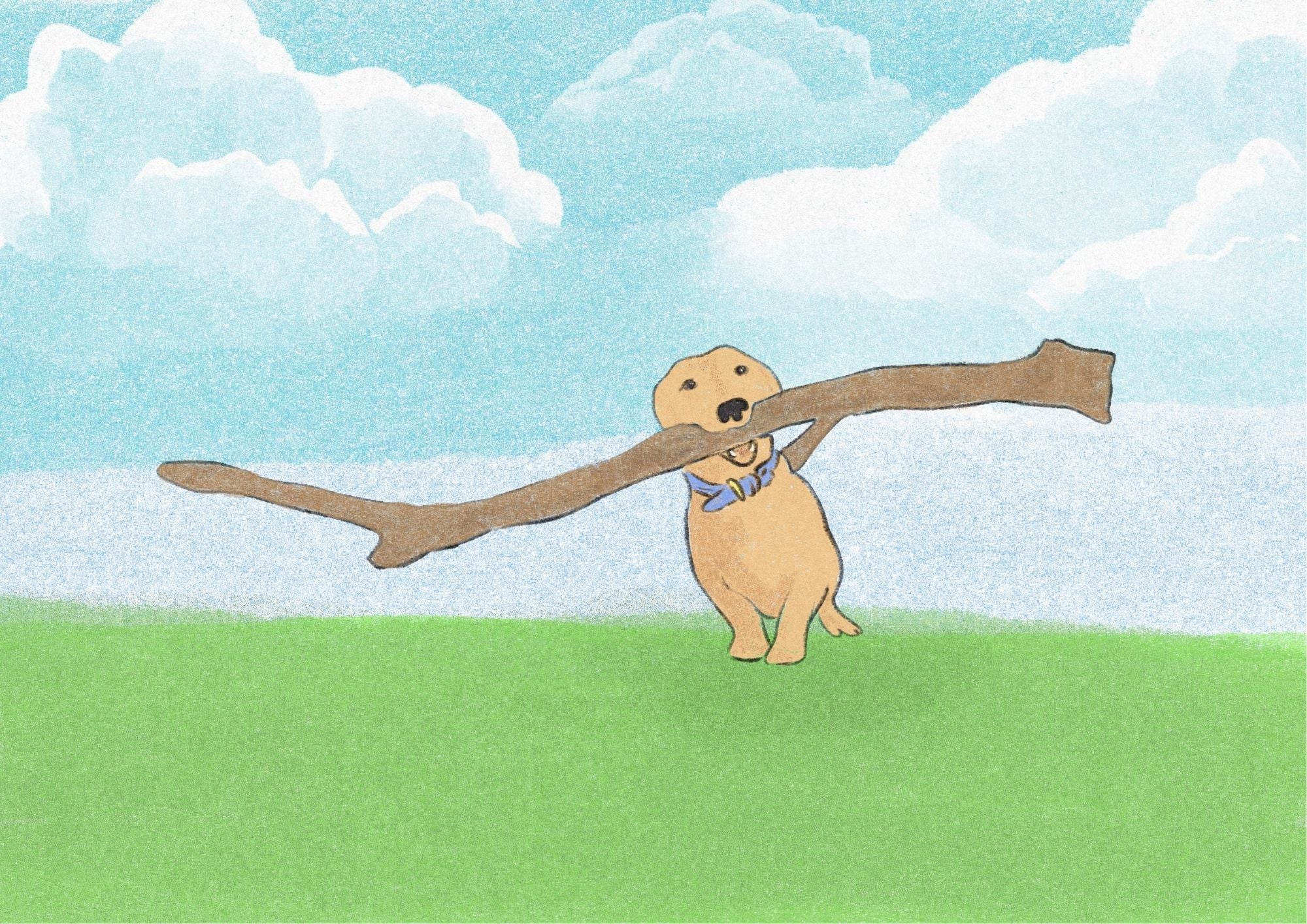 Carry A Big Stick Print