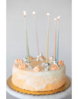 Circus Animal Birthday Cake Candle Holders