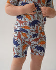 Blue Dino 2 piece shorty PJ's