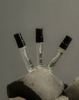 Langdegi (Light) Discovery Set