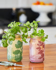 Garden Jars - Organic Herbs