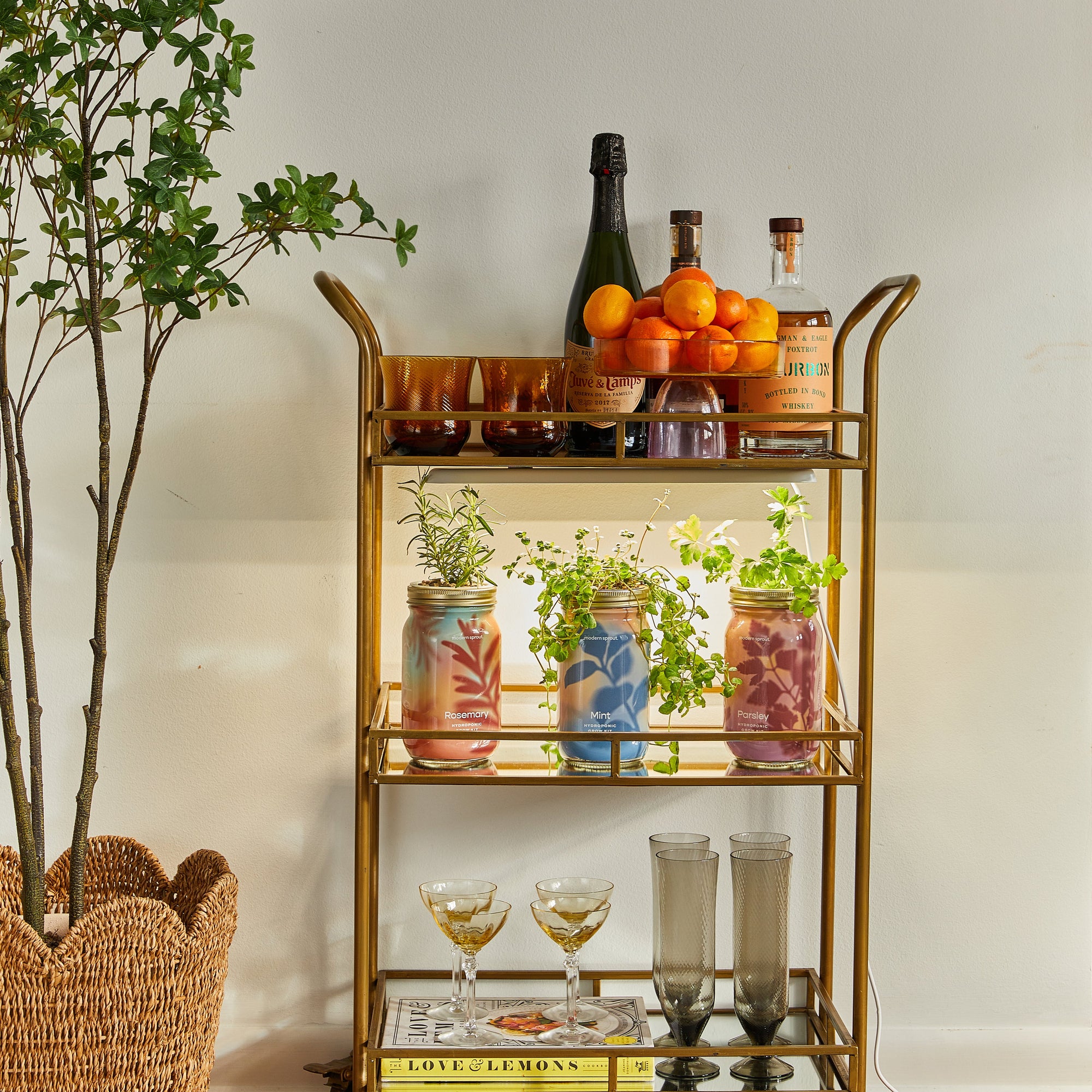 Garden Jars - Organic Herbs