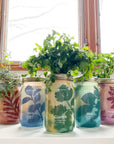 Garden Jars - Organic Herbs