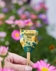 Seed Pops - Pollinator