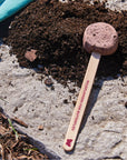 Seed Pops - Garden